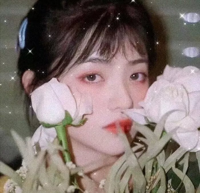 驸马大人请指教