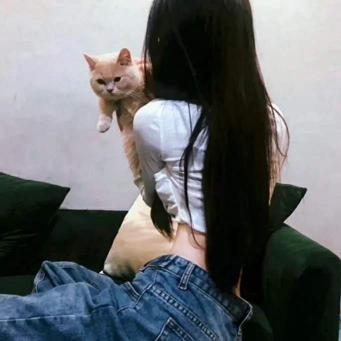 功成名就时衣锦还乡日