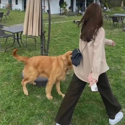 分手后，我带前女友上热搜
